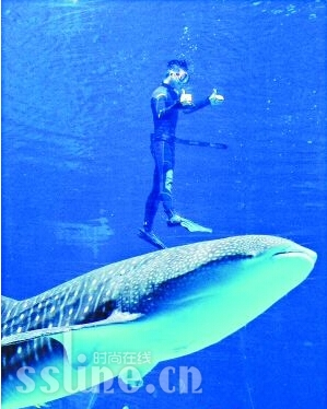 뾨蹲躣װ ɭ