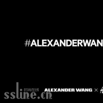 Alexander Wang  H&Mϵ 