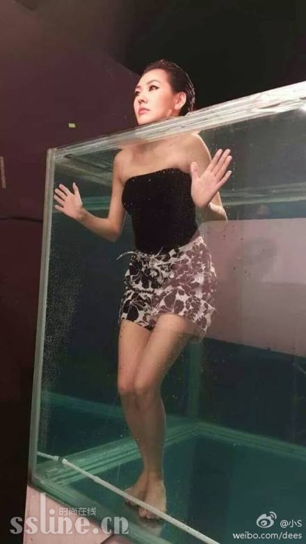СS