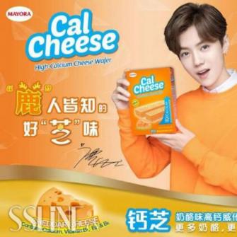 CalCheese֥ٻ2017ȳƷƺ