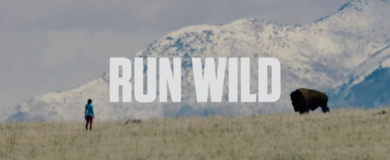 ĳ JAYBIRDƳȫܲƬRUN WILD