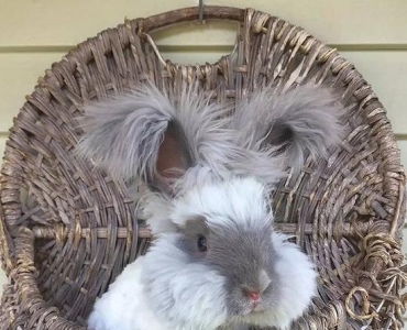 ôɰ Gucci㴩ë