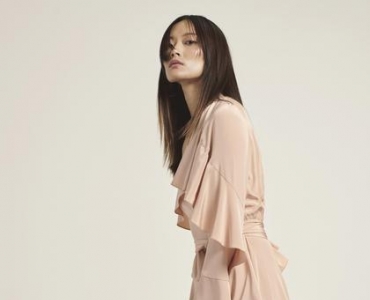 DVF 2019ϵΪÿλŮԵȷ澫Ȳ