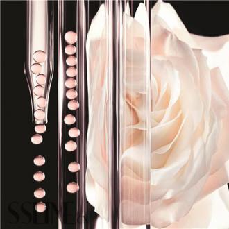 �޻��������м��� DIOR�ϰ»�������һ��֮��